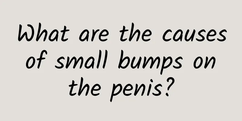 What are the causes of small bumps on the penis?