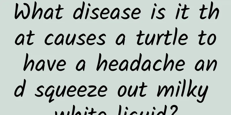 What disease is it that causes a turtle to have a headache and squeeze out milky white liquid?