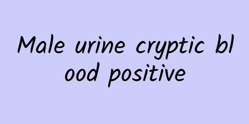 Male urine cryptic blood positive