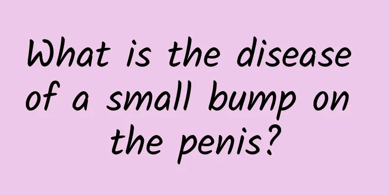 What is the disease of a small bump on the penis?