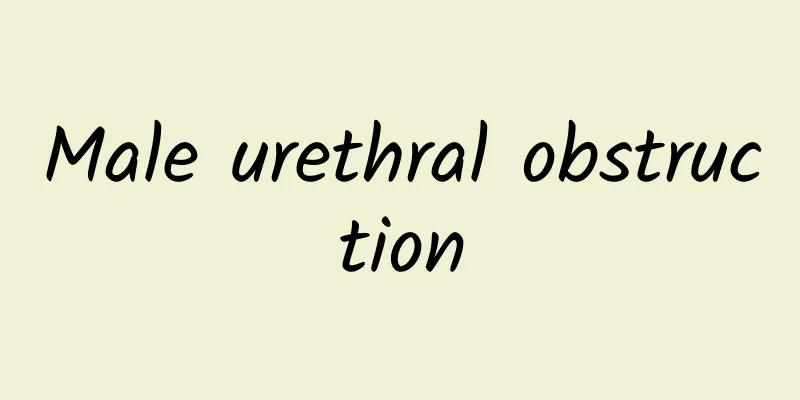 Male urethral obstruction