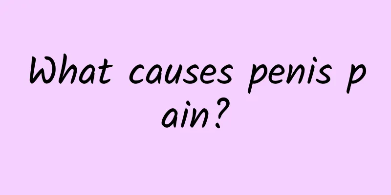 What causes penis pain?