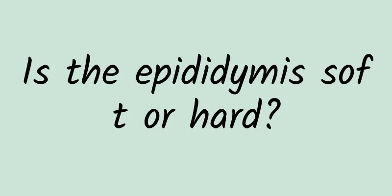 Is the epididymis soft or hard?