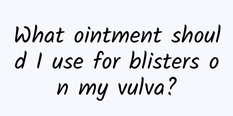 What ointment should I use for blisters on my vulva?