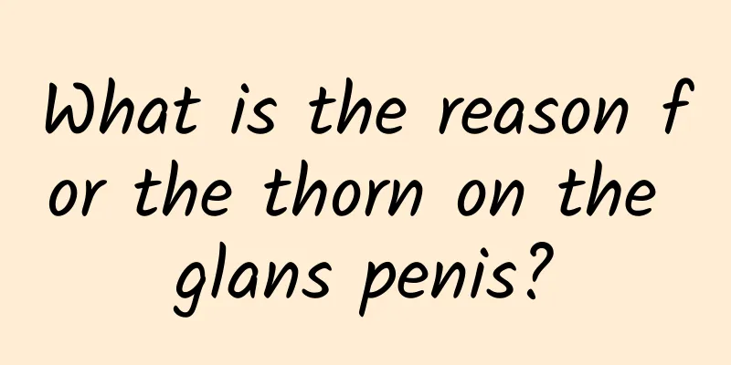 What is the reason for the thorn on the glans penis?