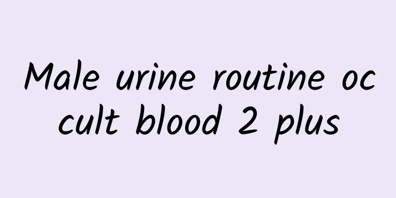 Male urine routine occult blood 2 plus
