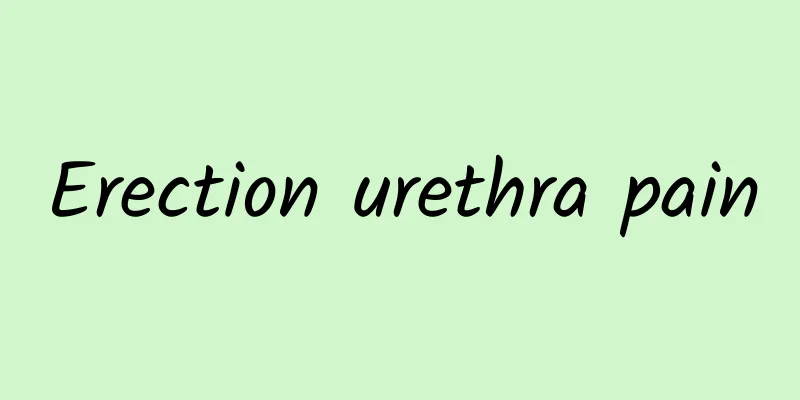 Erection urethra pain