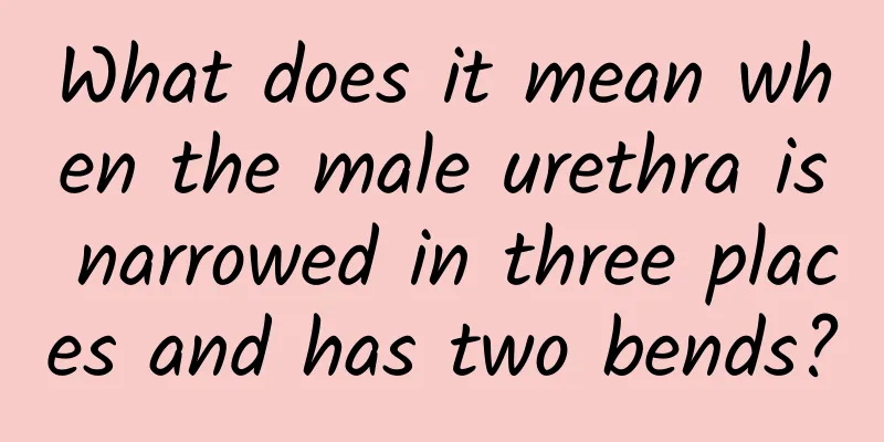 What does it mean when the male urethra is narrowed in three places and has two bends?