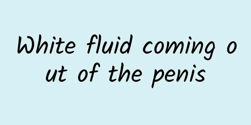 White fluid coming out of the penis