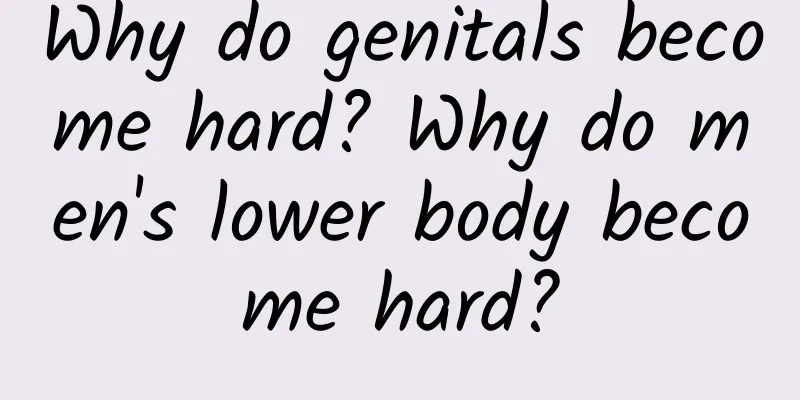 Why do genitals become hard? Why do men's lower body become hard?