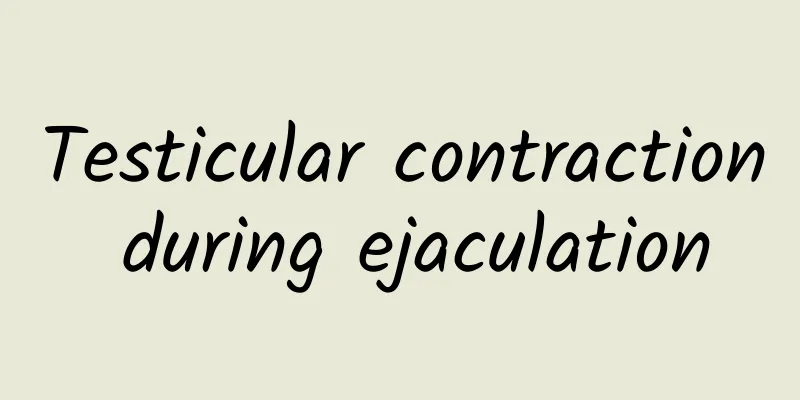 Testicular contraction during ejaculation
