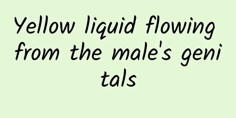 Yellow liquid flowing from the male's genitals