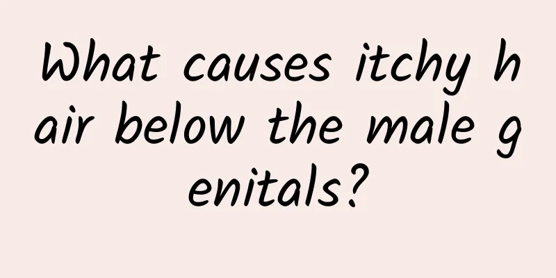 What causes itchy hair below the male genitals?
