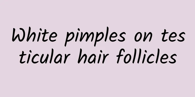 White pimples on testicular hair follicles