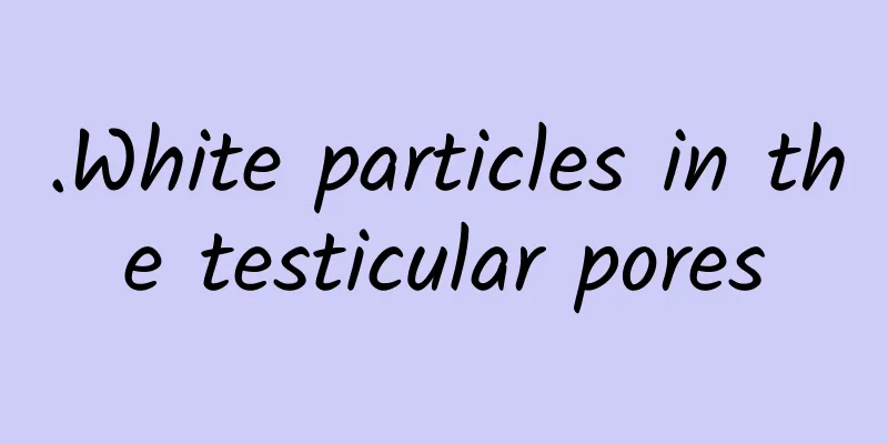 .White particles in the testicular pores