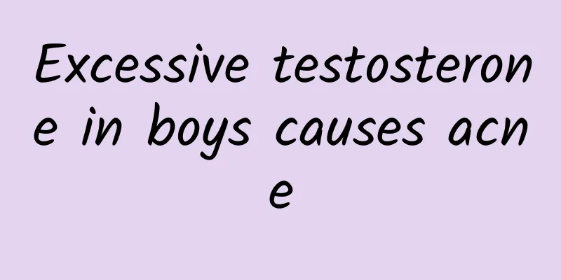 Excessive testosterone in boys causes acne