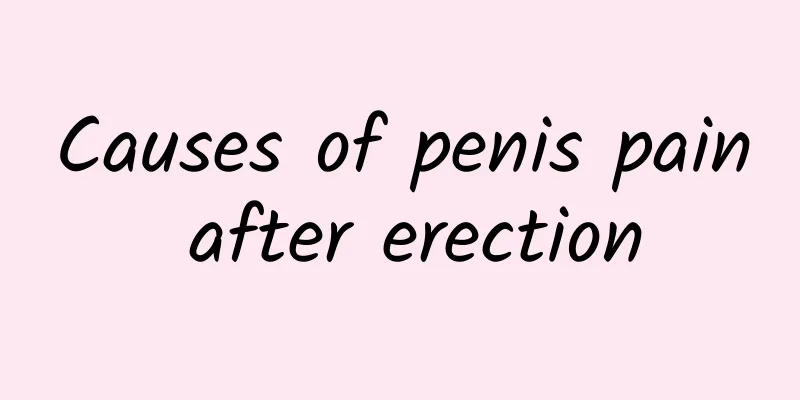Causes of penis pain after erection