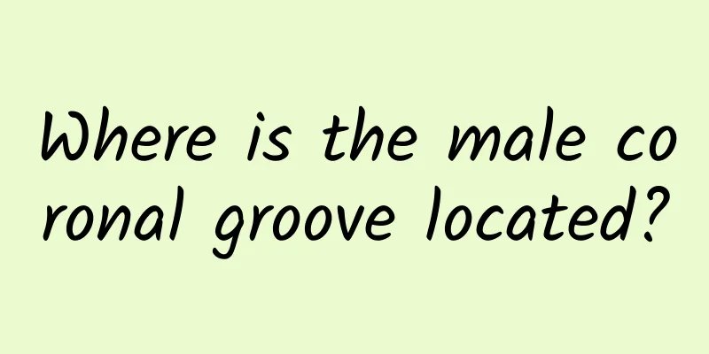 Where is the male coronal groove located?