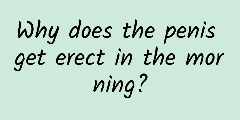 Why does the penis get erect in the morning?