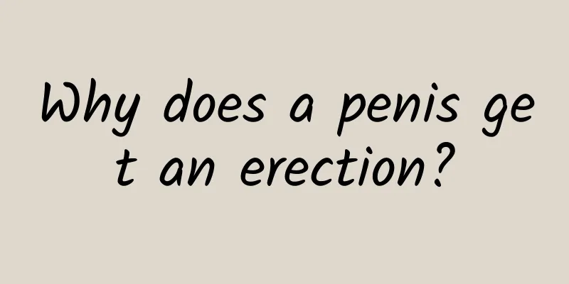 Why does a penis get an erection?