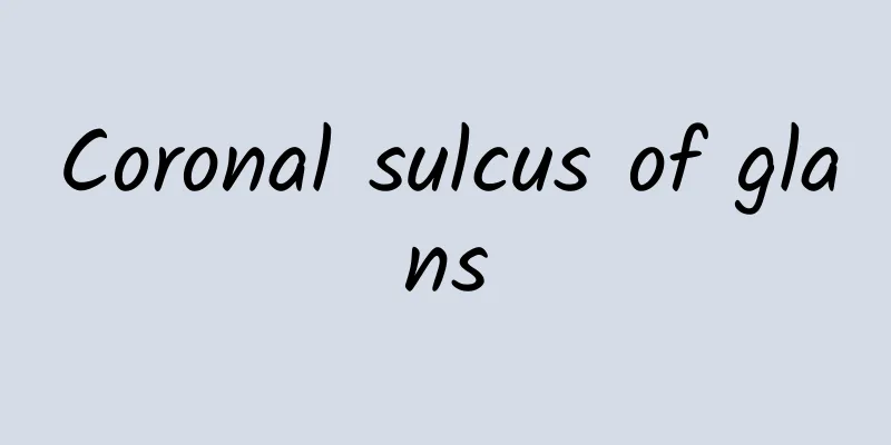 Coronal sulcus of glans