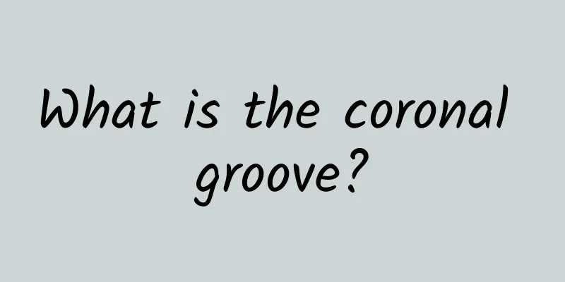 What is the coronal groove?