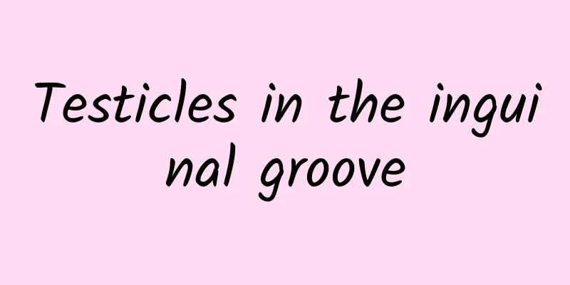 Testicles in the inguinal groove