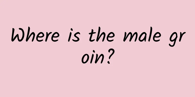 Where is the male groin?