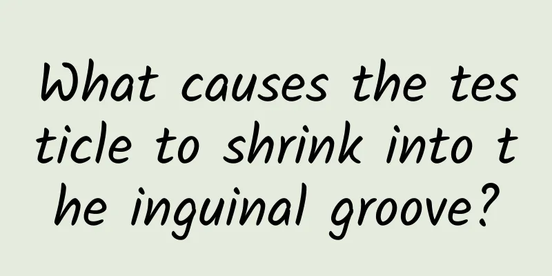 What causes the testicle to shrink into the inguinal groove?