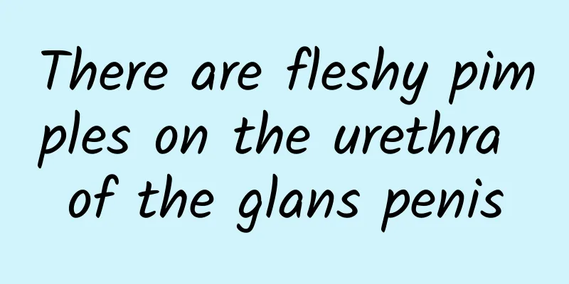 There are fleshy pimples on the urethra of the glans penis