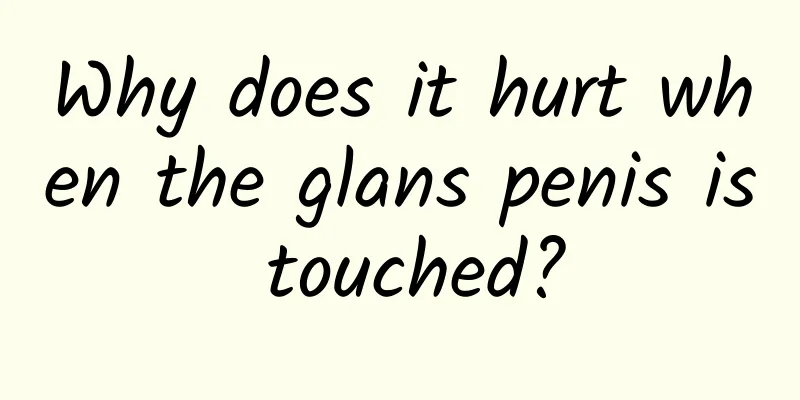 Why does it hurt when the glans penis is touched?