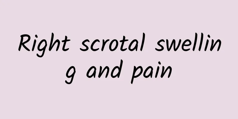 Right scrotal swelling and pain