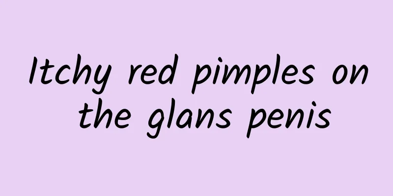 Itchy red pimples on the glans penis