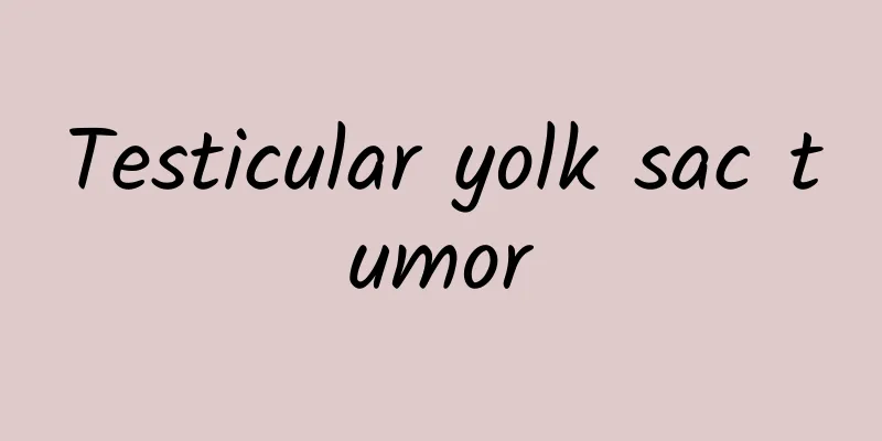 Testicular yolk sac tumor