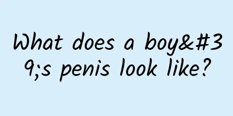 What does a boy's penis look like?
