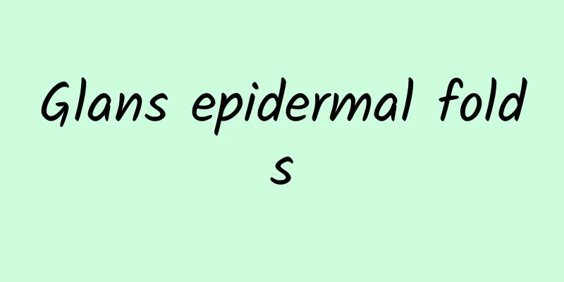 Glans epidermal folds
