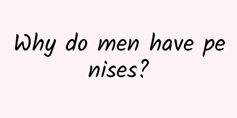 Why do men have penises?