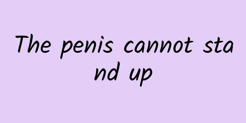 The penis cannot stand up
