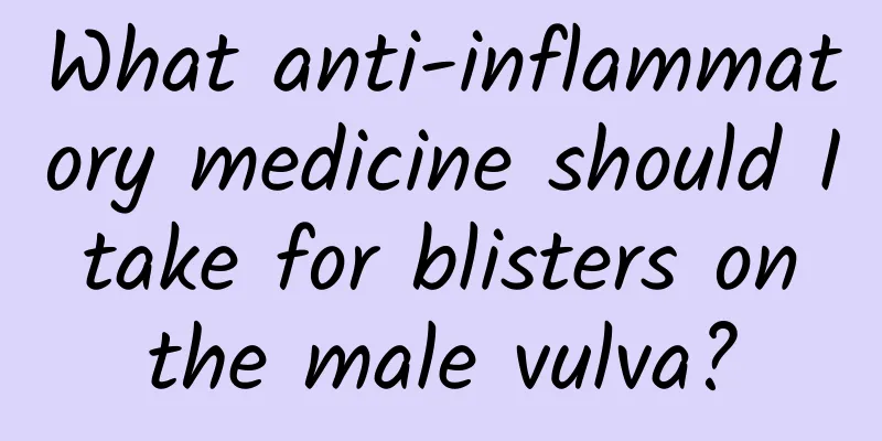 What anti-inflammatory medicine should I take for blisters on the male vulva?