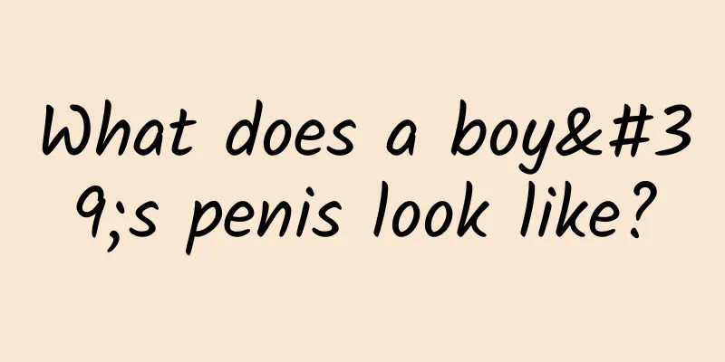 What does a boy's penis look like?