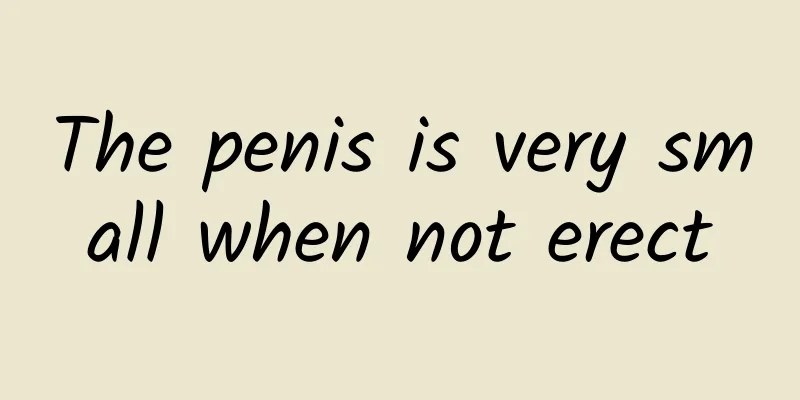 The penis is very small when not erect