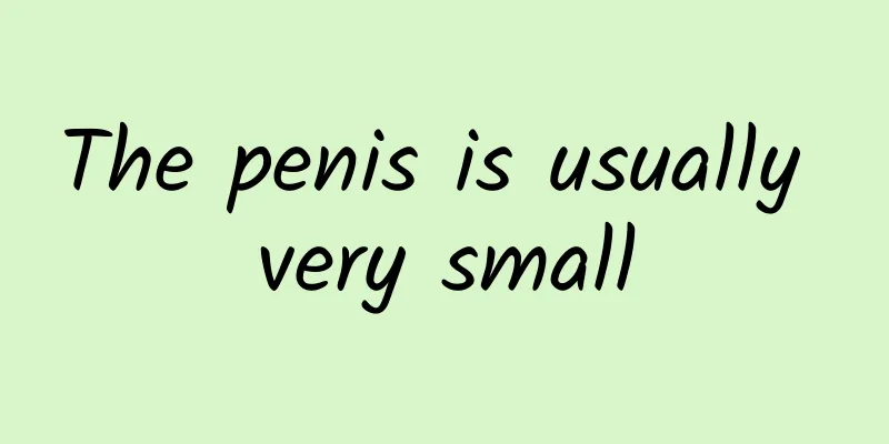 The penis is usually very small