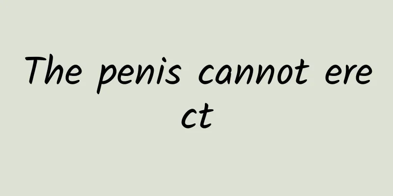 The penis cannot erect