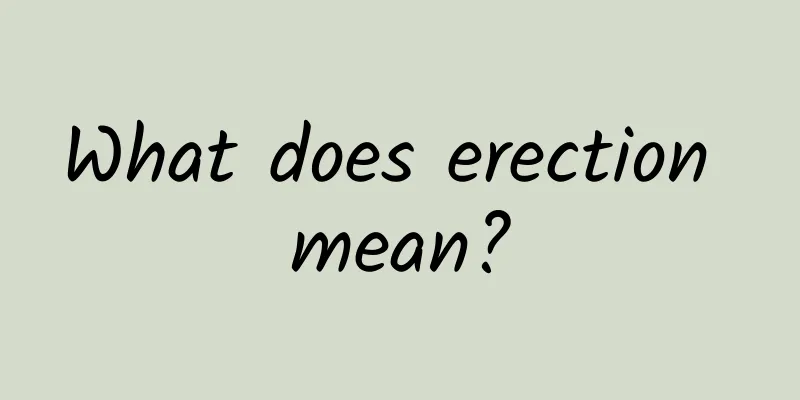 What does erection mean?