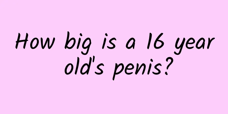 How big is a 16 year old's penis?