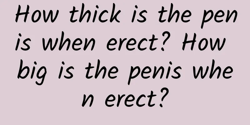 How thick is the penis when erect? How big is the penis when erect?