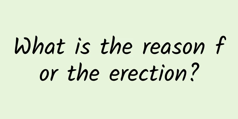What is the reason for the erection?