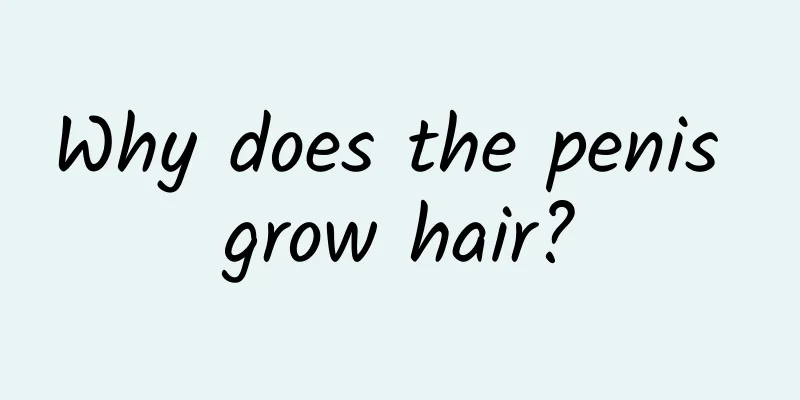 Why does the penis grow hair?