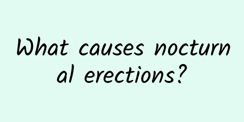 What causes nocturnal erections?