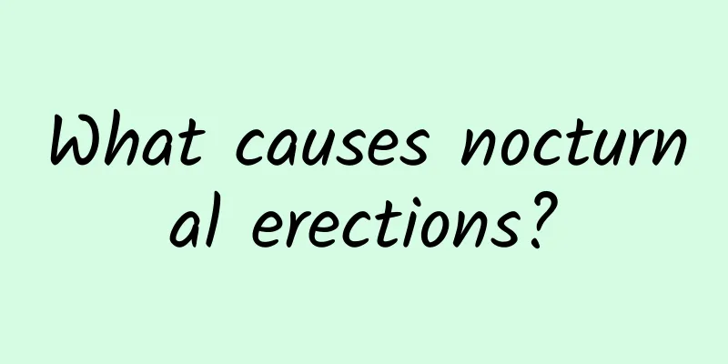 What causes nocturnal erections?